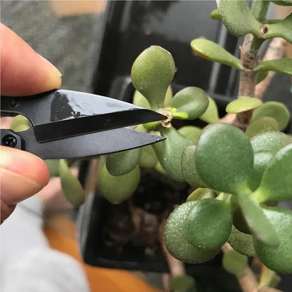 Mini Pruning Shears